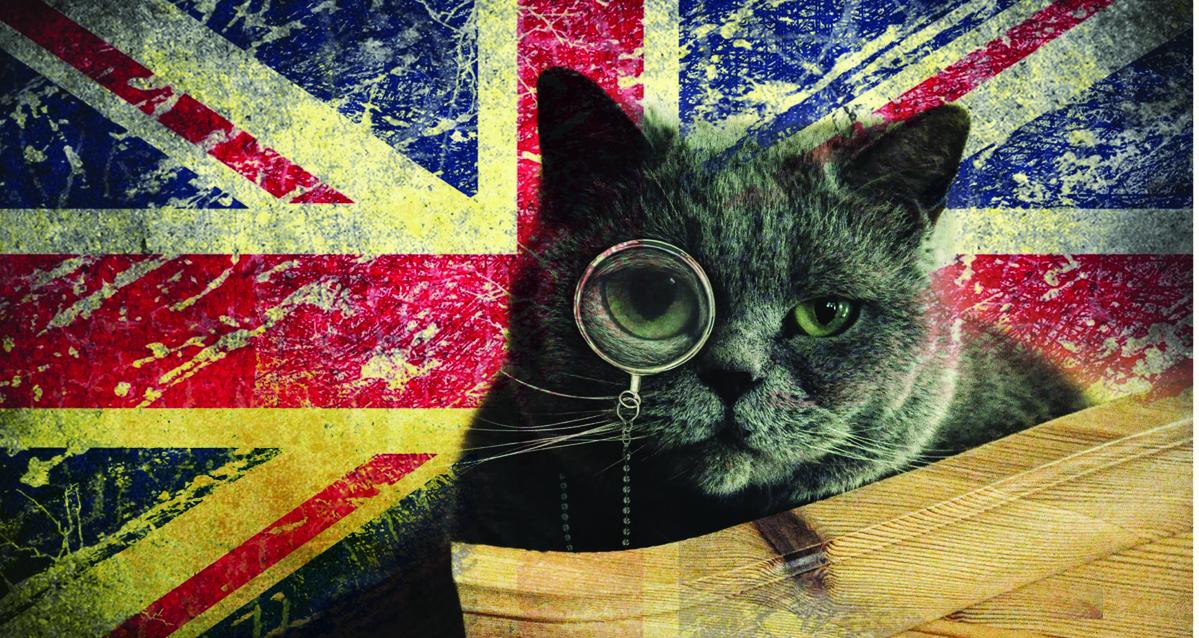 Кот с английского на русский. Коты в Британии. Кот с британским флагом. Кот на фоне британского флага. Кот англичанин.
